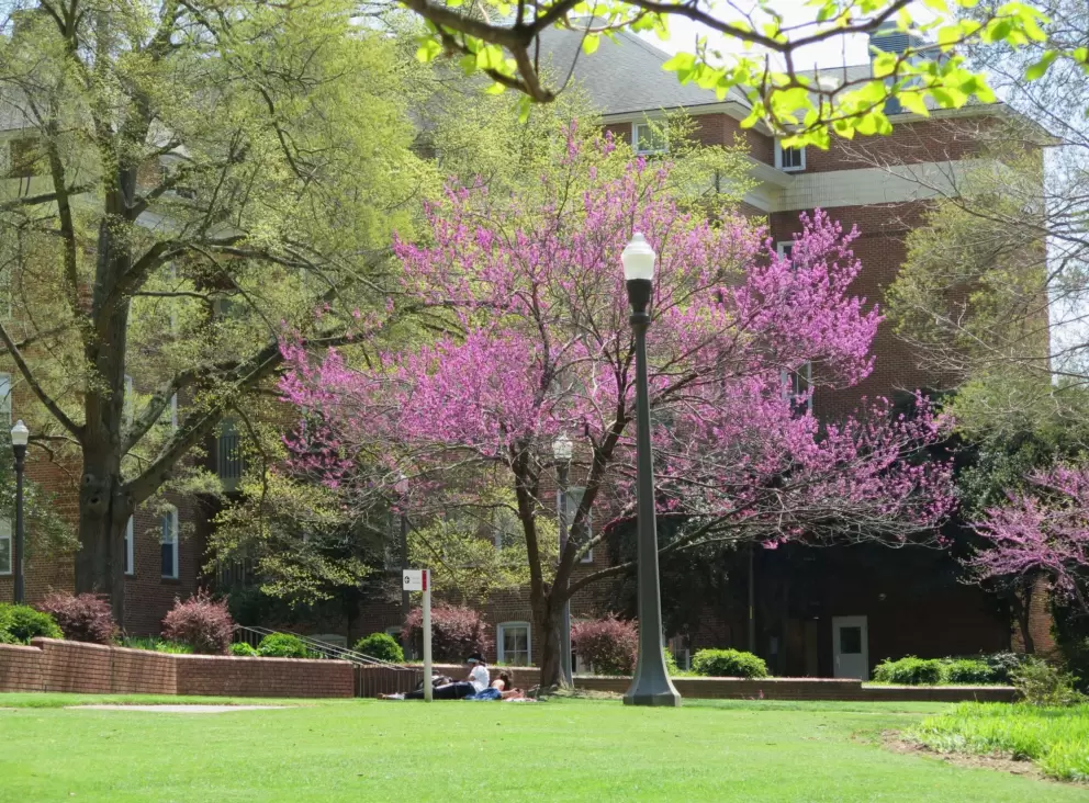 Yarbrough has flowering trees and sweet spots to sit.