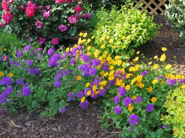 Flowers by the deck.