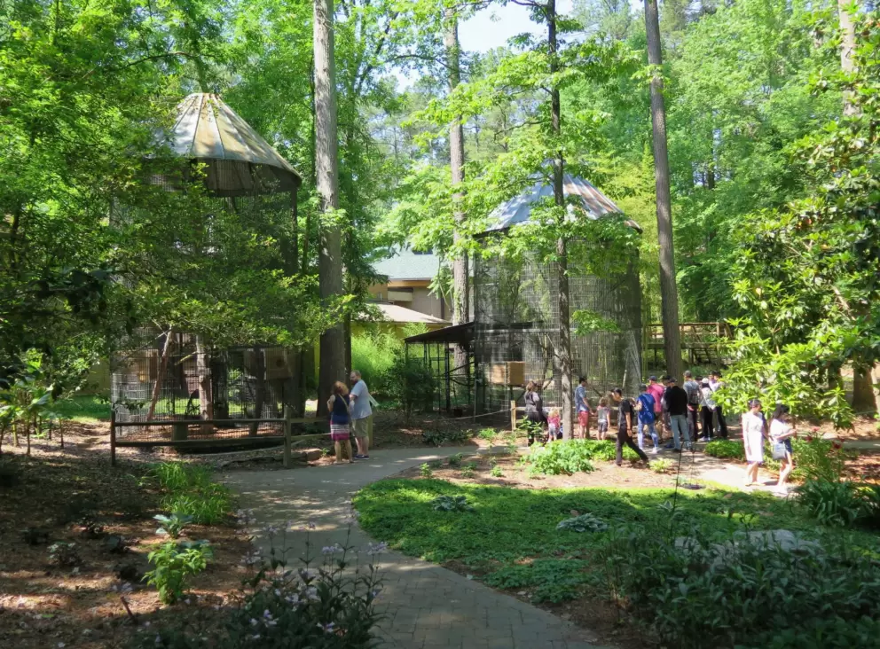 Cages in the forest.