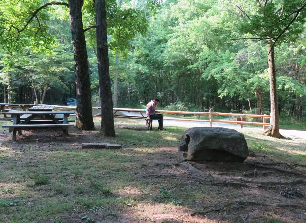 Man sitting on a bench in the park.