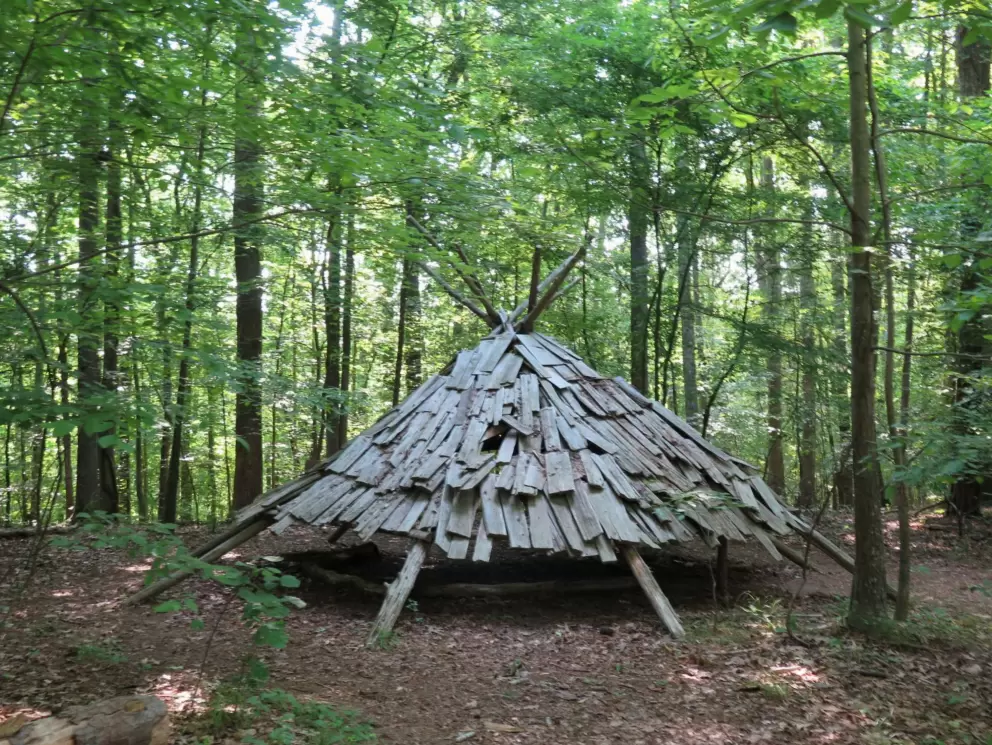 Tee pee in the forest.