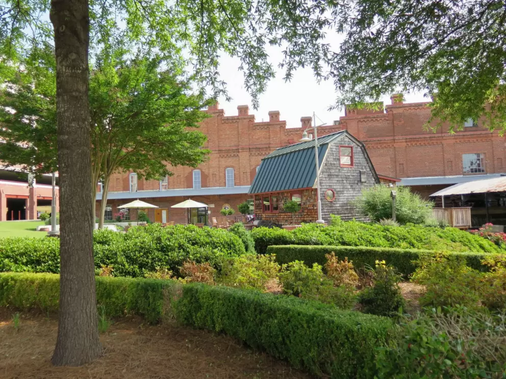 Looking past hedges toward Hill Warehouse.