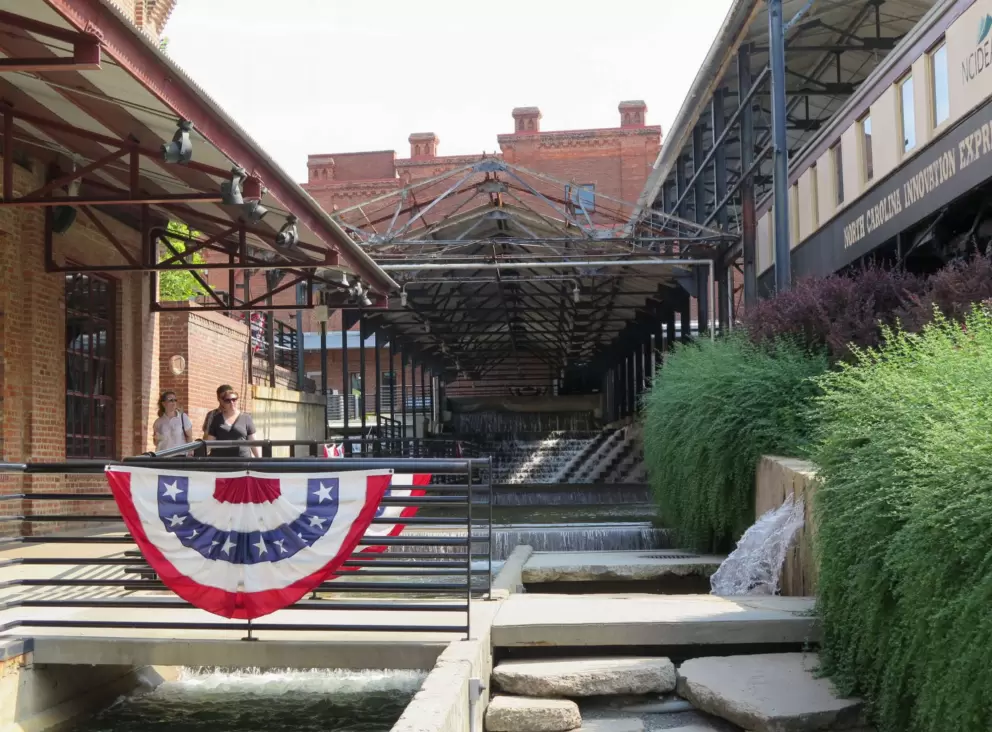 Plants, stepping stones, and American flag.