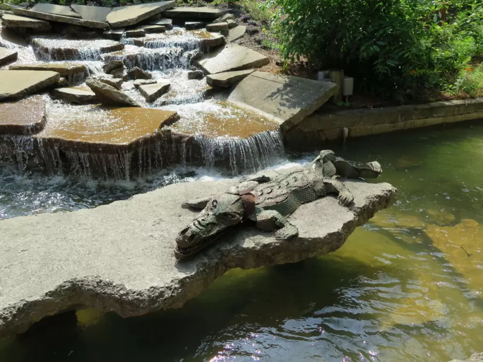 Alligator sculpture in the river.