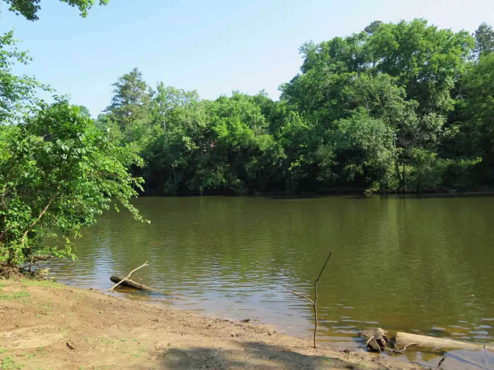 Muddy bank of the river.
