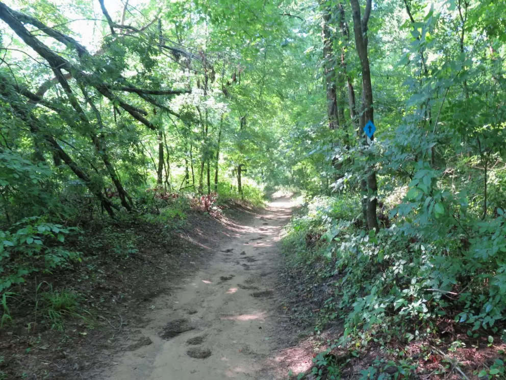 The trail.
