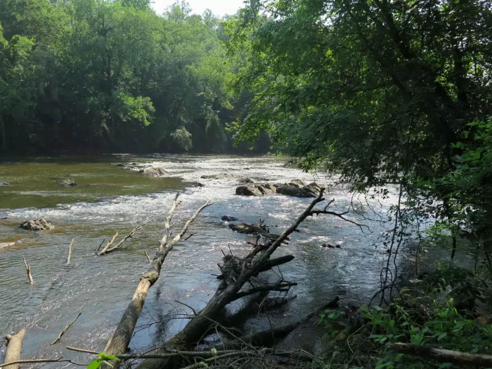 White water by the rocks.