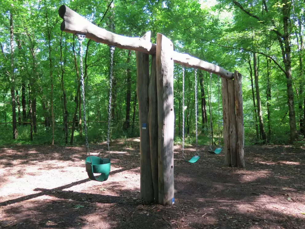 Baby swing and regular swings.