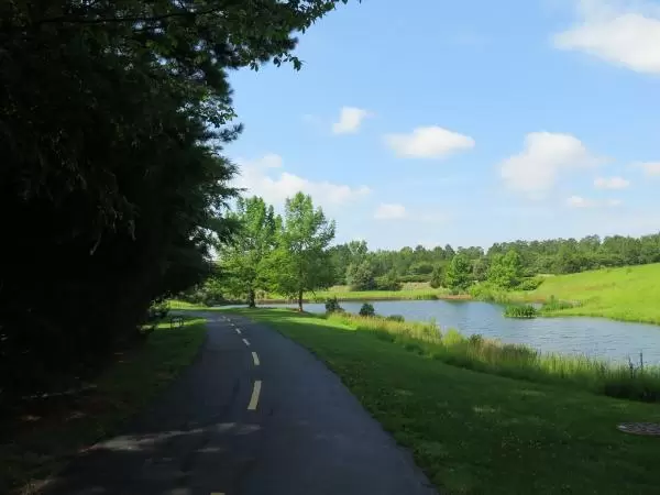 Happy feeling as you approach the pond.