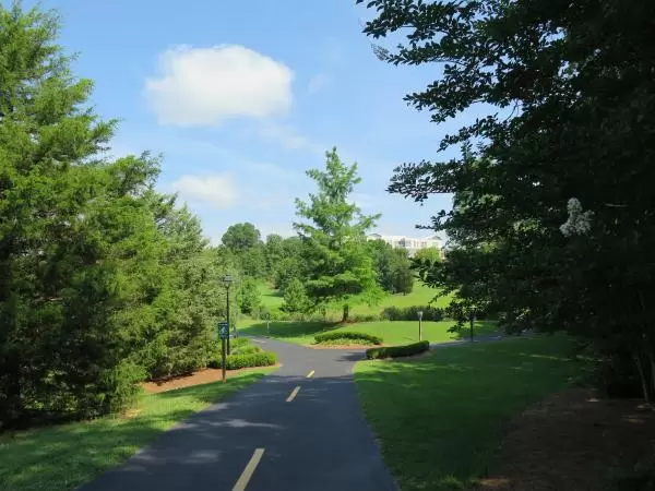 Four directions you can take on the bike path.