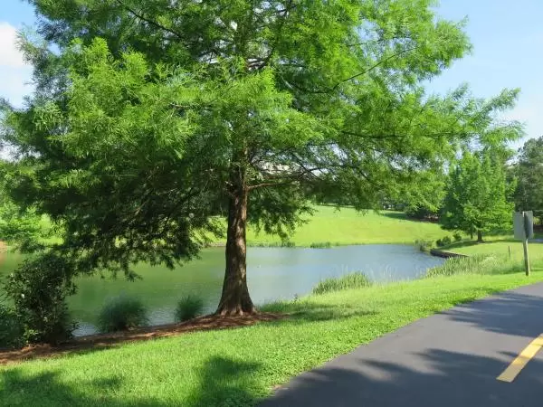 Meadowmont is so pretty!