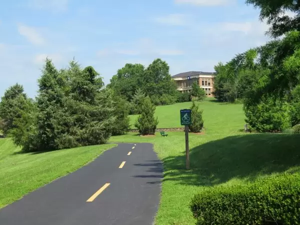 The bike path as it goes up a hill near Raleigh Rd. Idyllic views!
