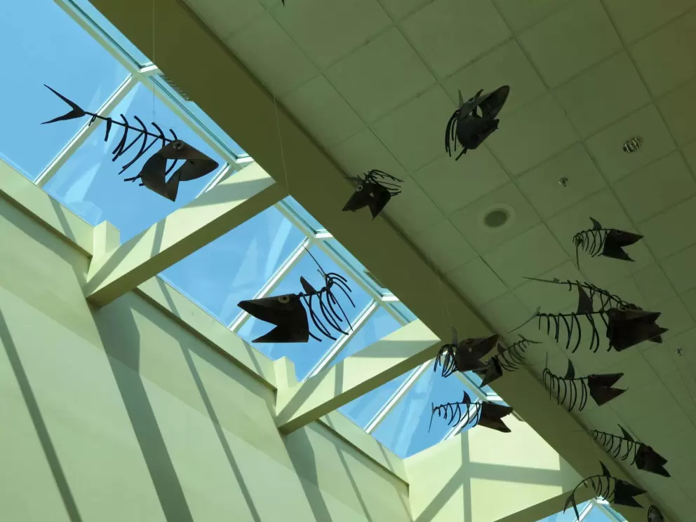 Fish decorations hanging from the ceiling.