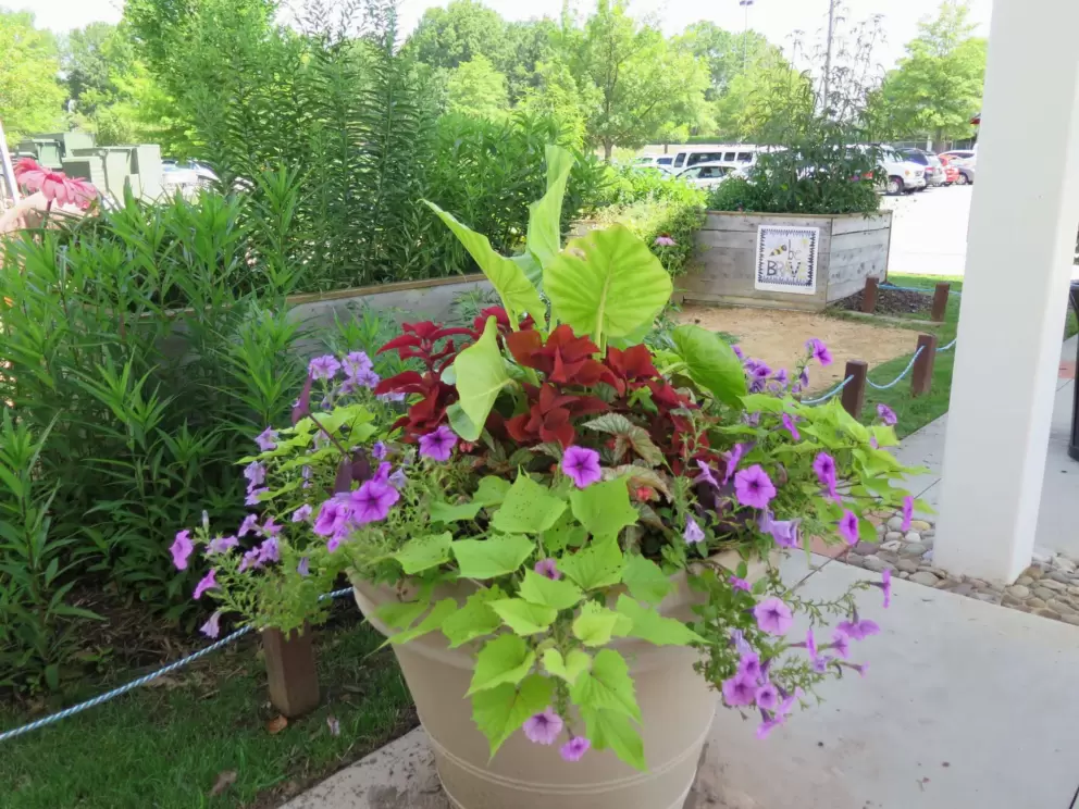 Flower pot near the entrance to the mall.