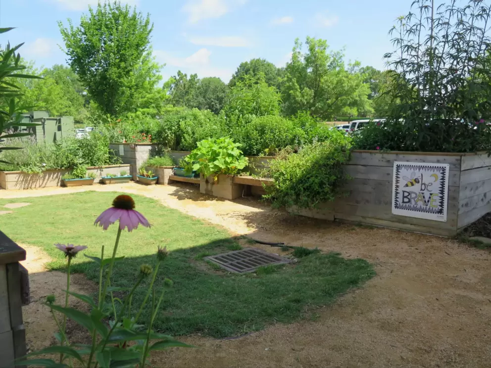 Kidzu garden near a side entrance.