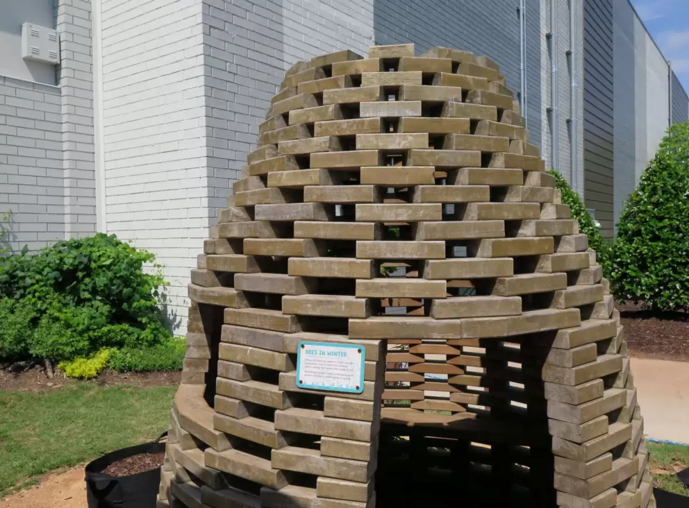 Beehive at the Kidzu garden.