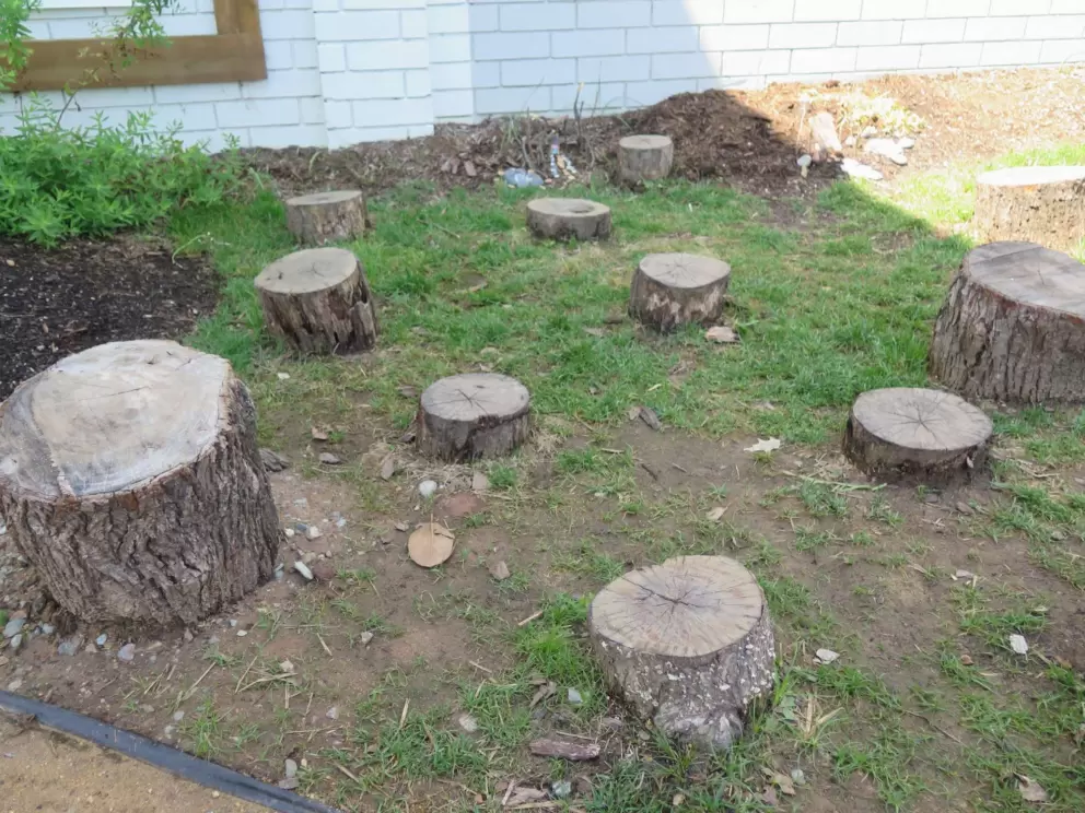 Tree stumps to step on, in the Kidzu garden.