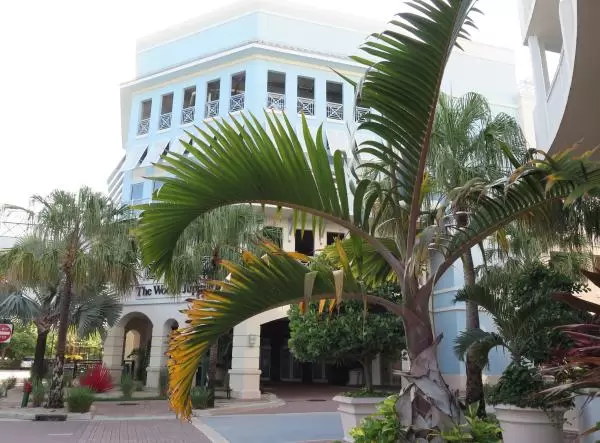 Caribbean-style buildings.