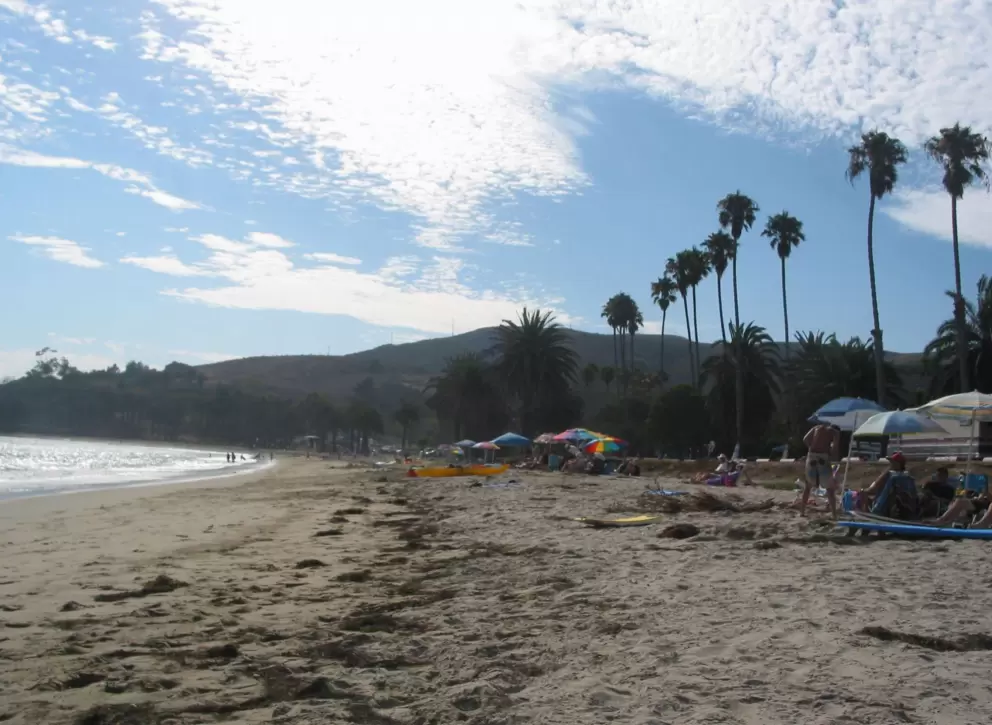California dreaming...