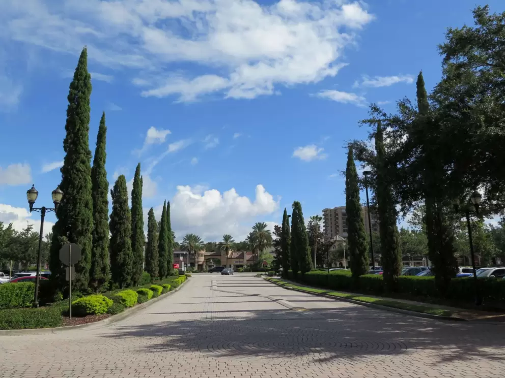 The entrance road is grand.