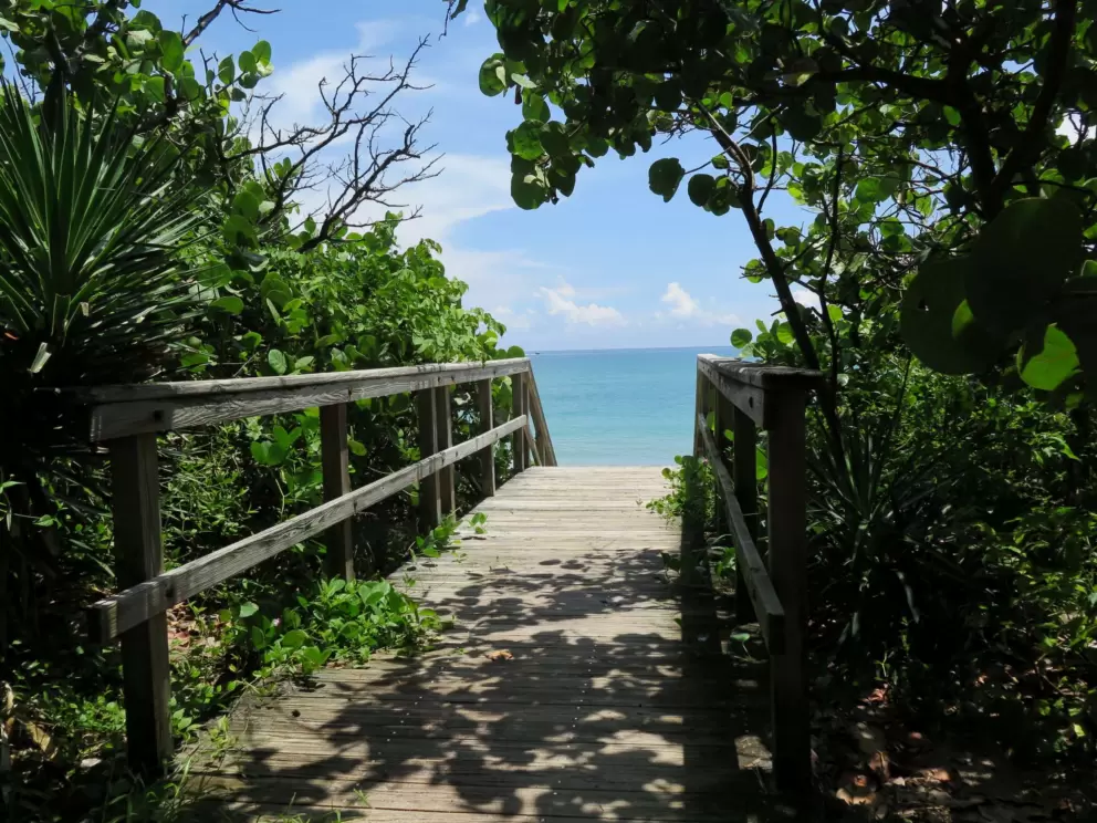 Cute stairs down to the perfect beach.
