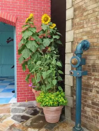 Corner in Sesame Street.