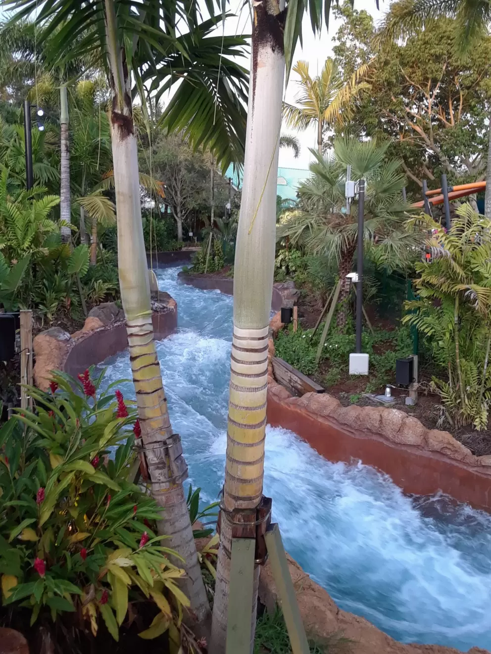 Water rushing by and tropical plants.