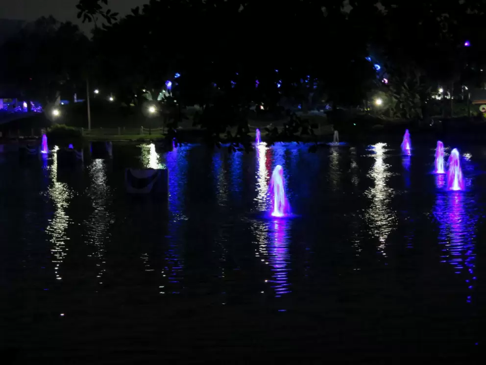 Fountains on the lake at night.
