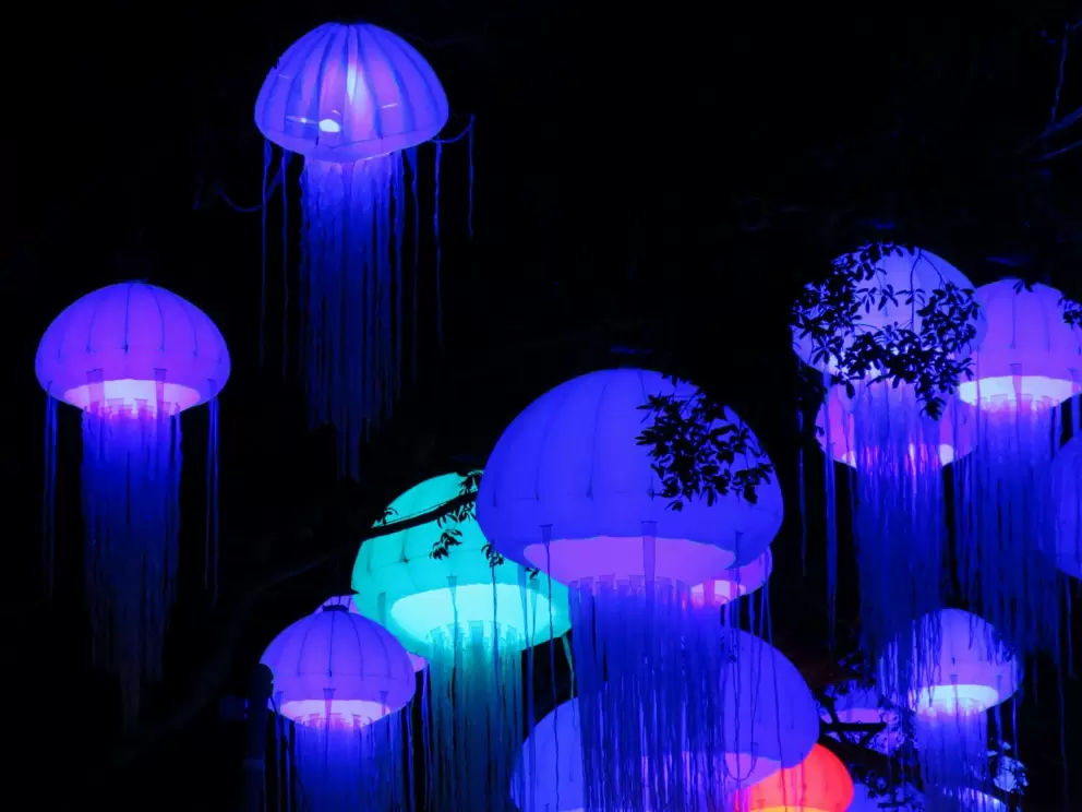 Jellies, changing colors.