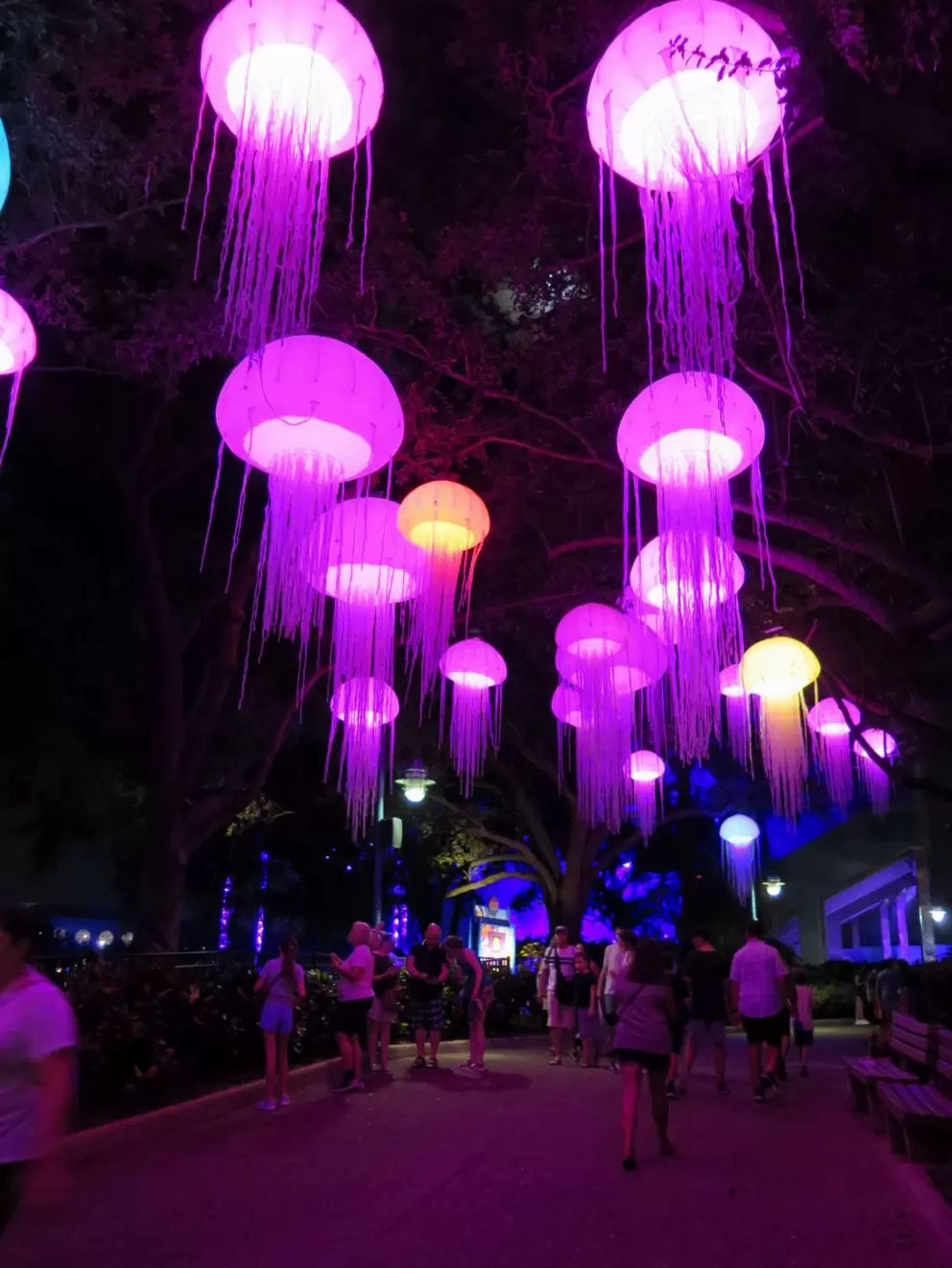 People walking below the jellies, during Electric Ocean, a summertime event each night.