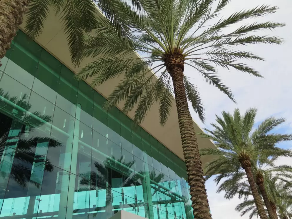 Beautiful blue-green glass and palms.