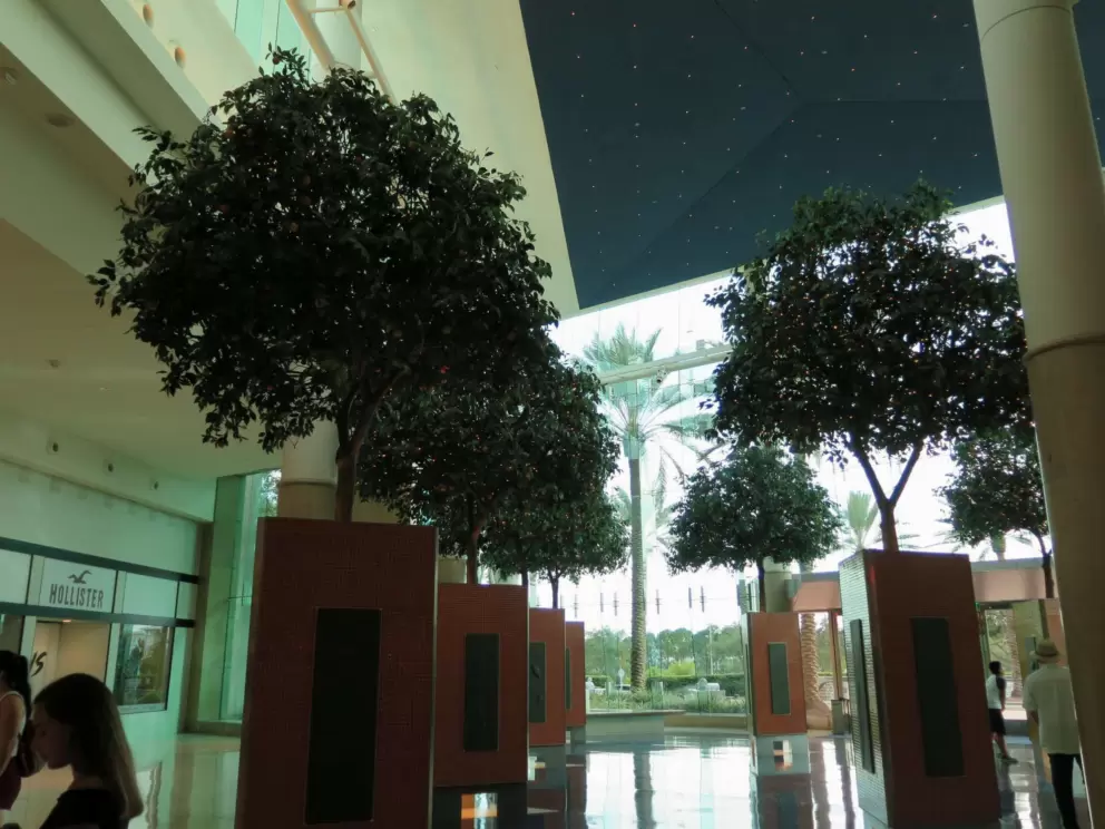 Fake trees inside.