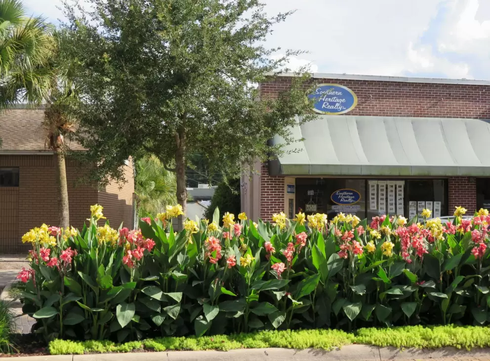 Yellow and pink lilies along the main strip.