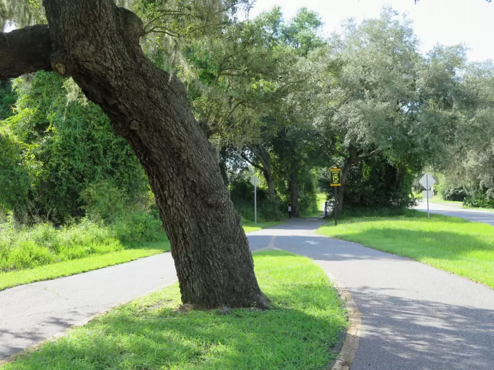West Orange trail, a bike path, runs for miles, crossing through town. This is the Killarney Station segment, sometimes shaded.