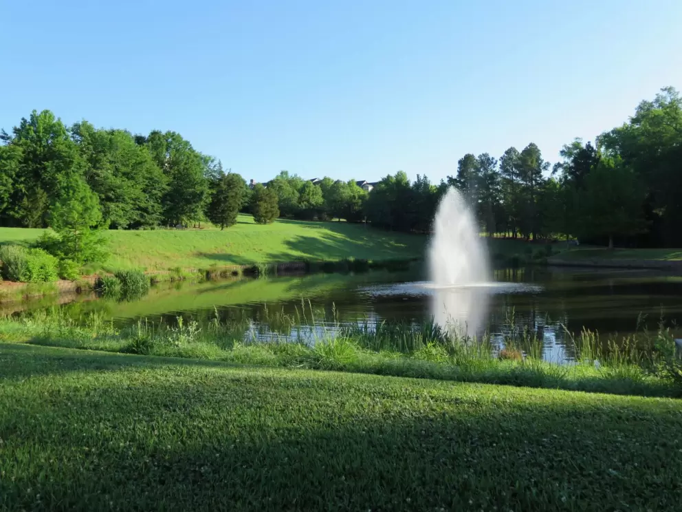 Green has returned! In May.