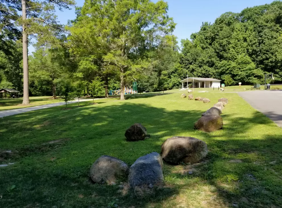 Rocks at Umstead Park.