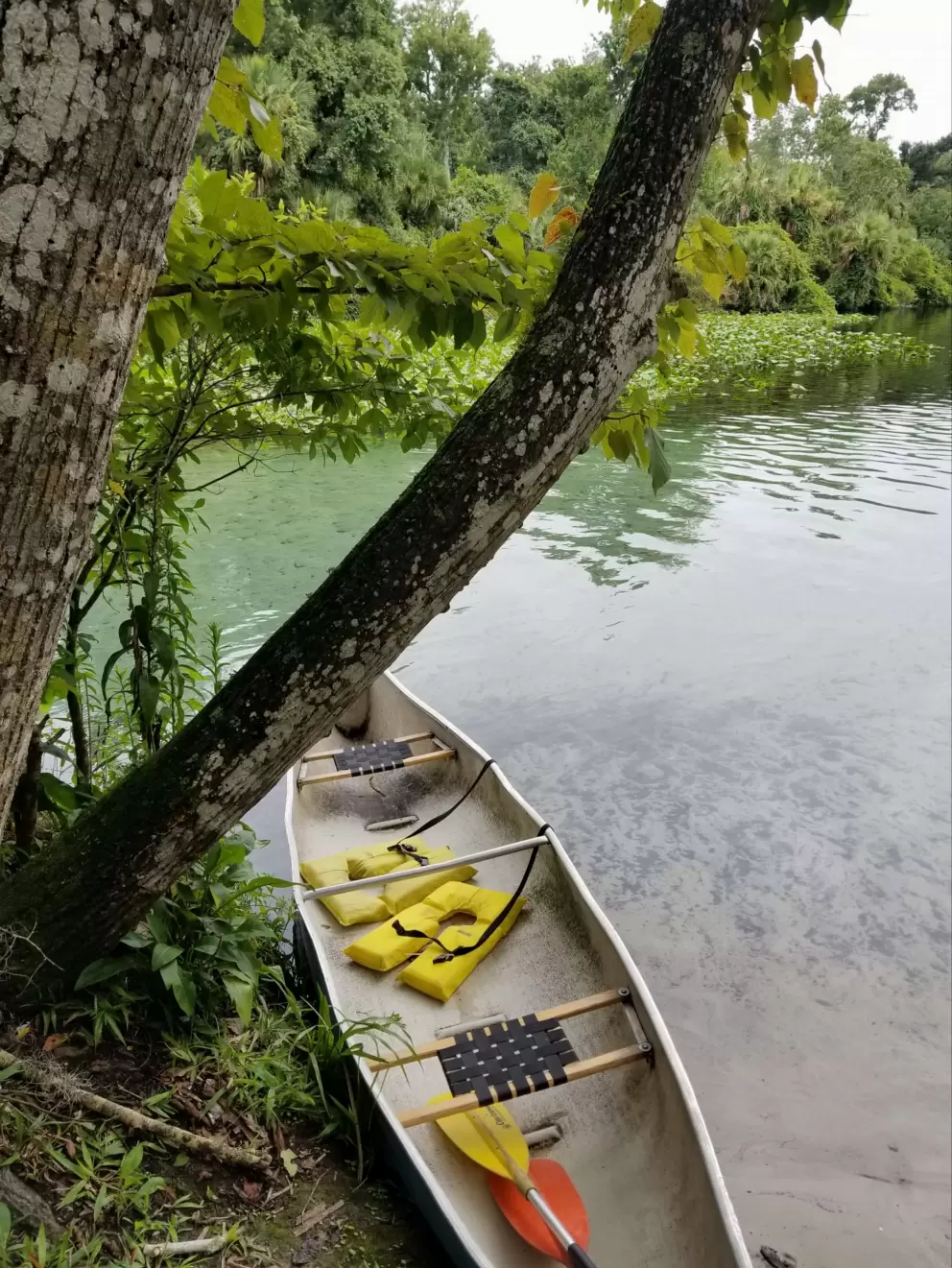 Canoe for rent.