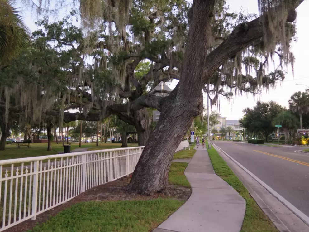 The sidewalk as you come to Edgewater Park.