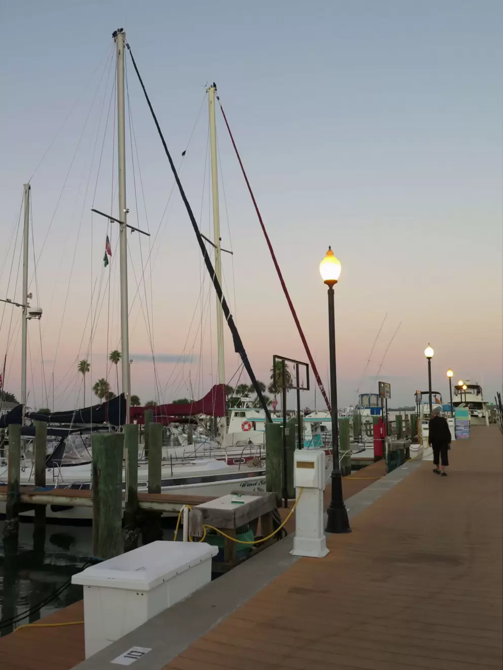 Early morning walk at Dunedin Marina.