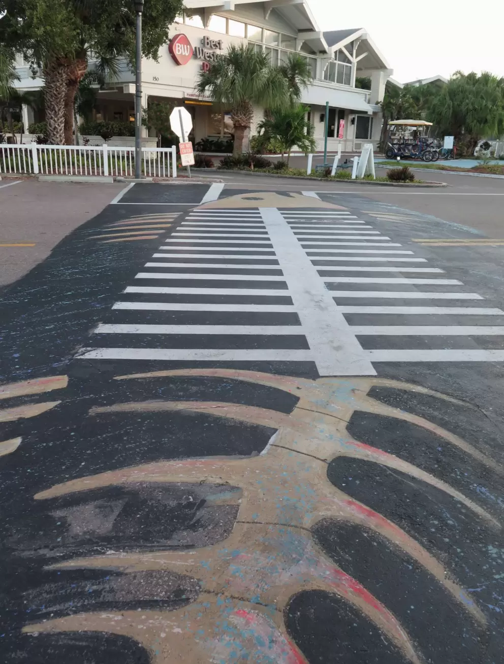 Fish bone crosswalk!!