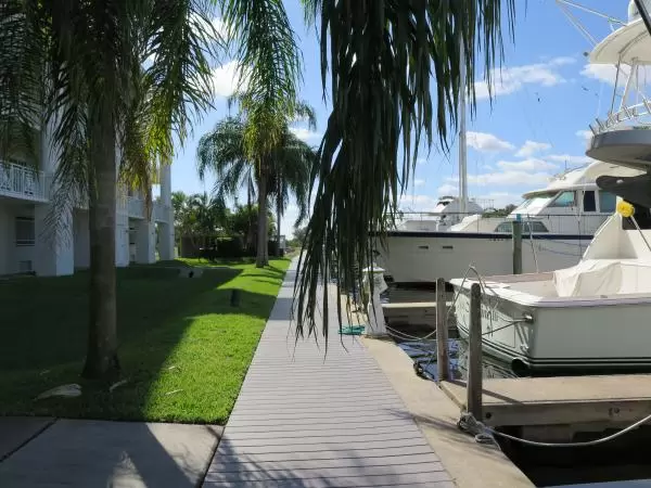 Boats and palm fronds.