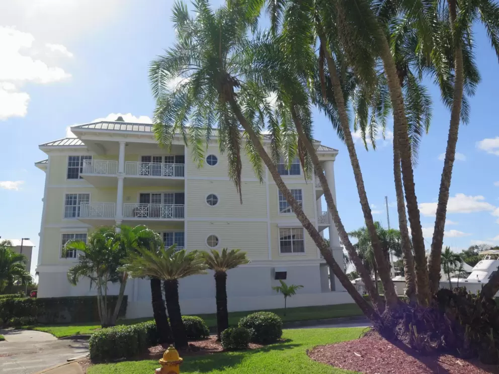 Palms and condo building.