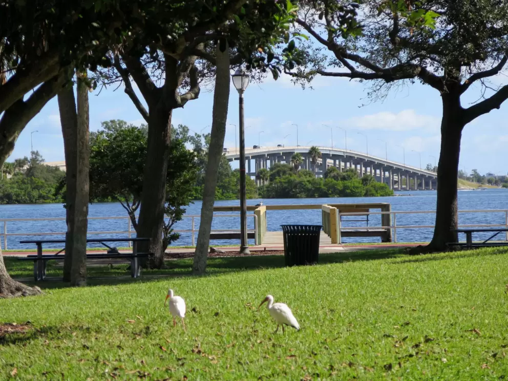 Ibis birds and view of causeway at Claude Edge Front Street Park.