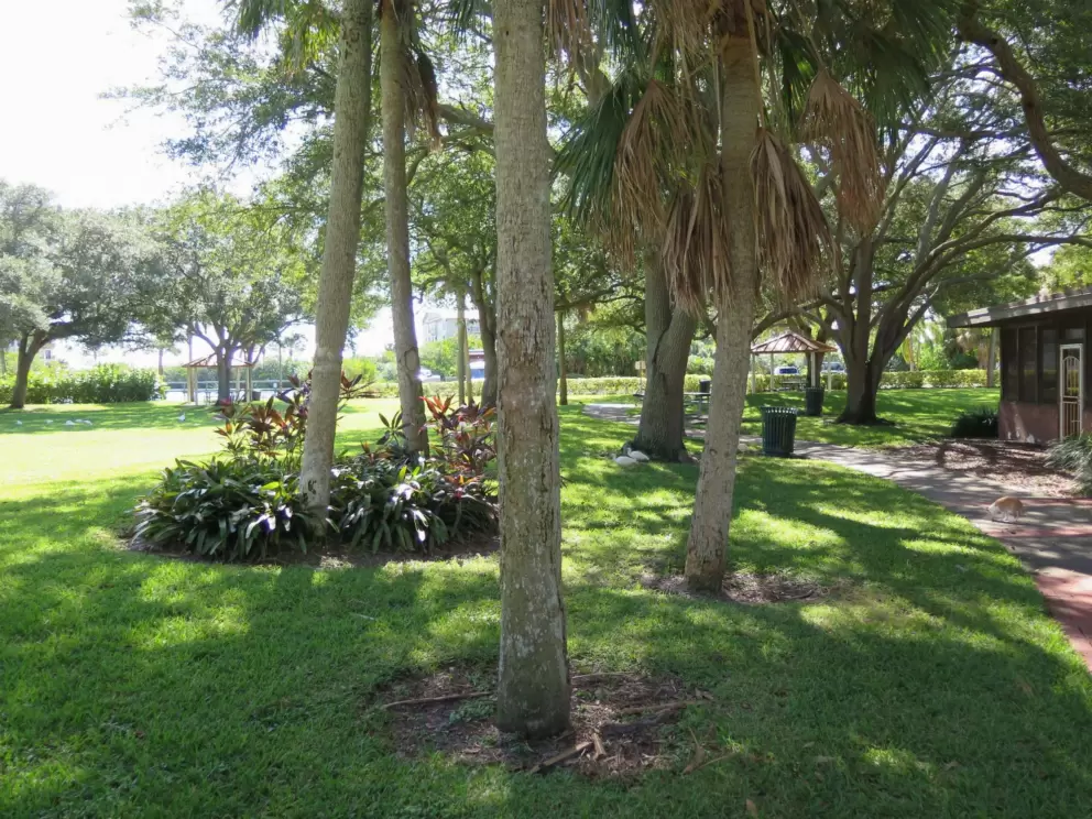 Shady spot at Claude Edge Front Street Park.