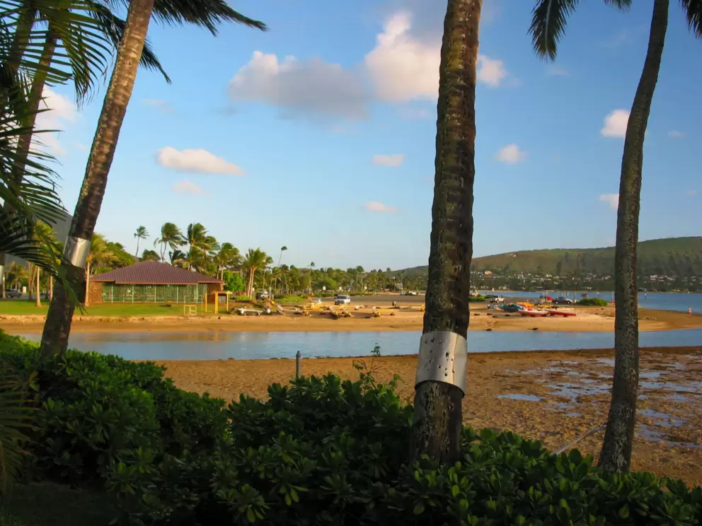 You can walk along the sand from Kuliouou Beach Park and see this view of the Canoe Club shack across the water. 