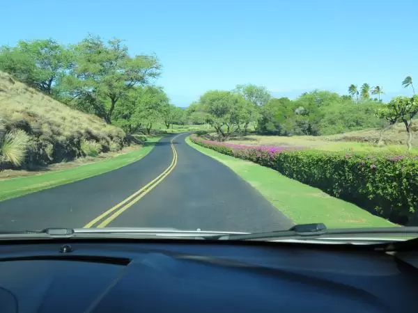 Driving on the hotel property.