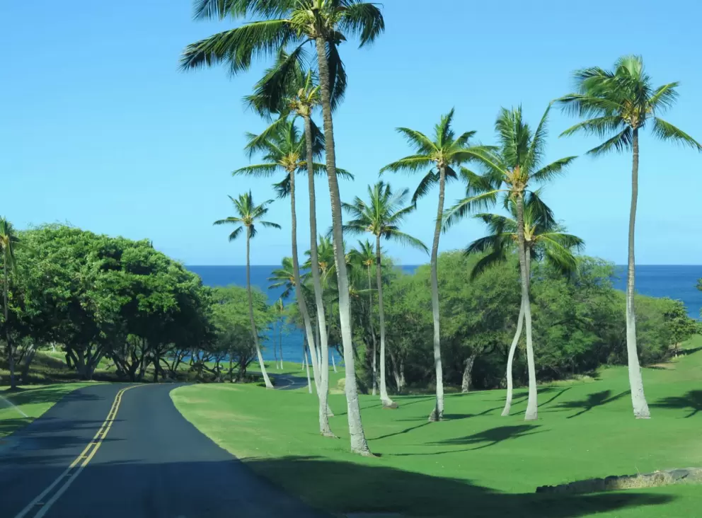 Views of palms and bluest ocean, on the hotel road.