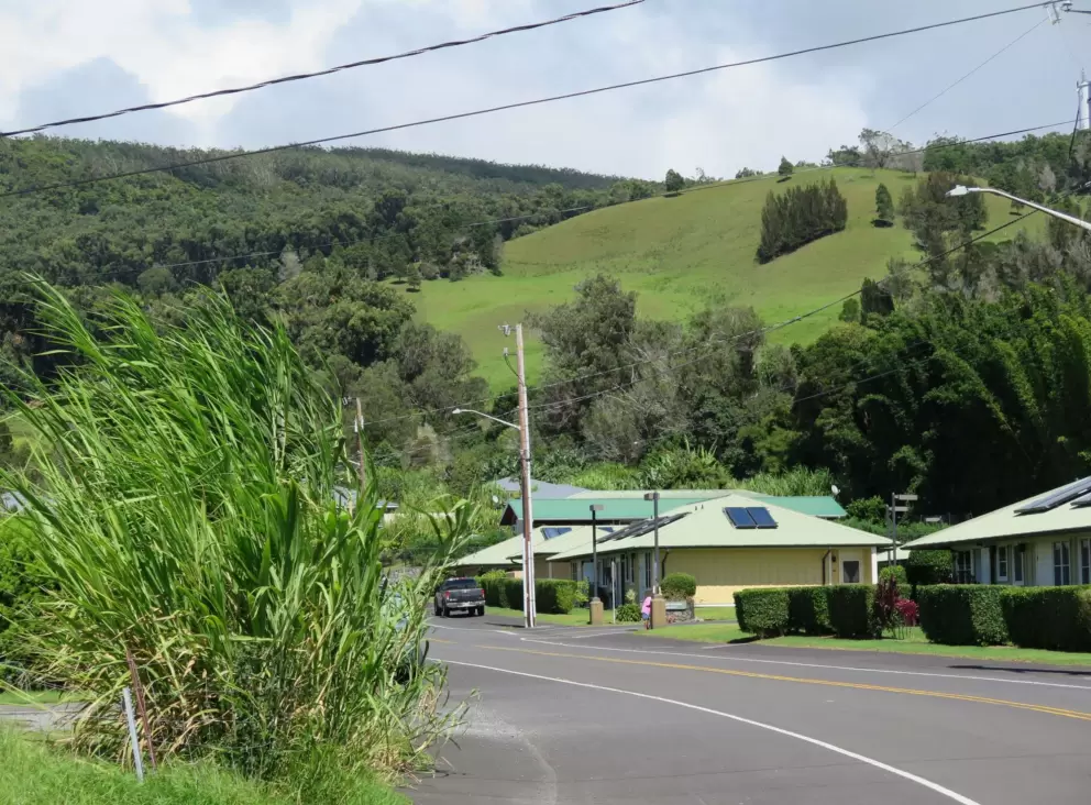 Greenest hills!