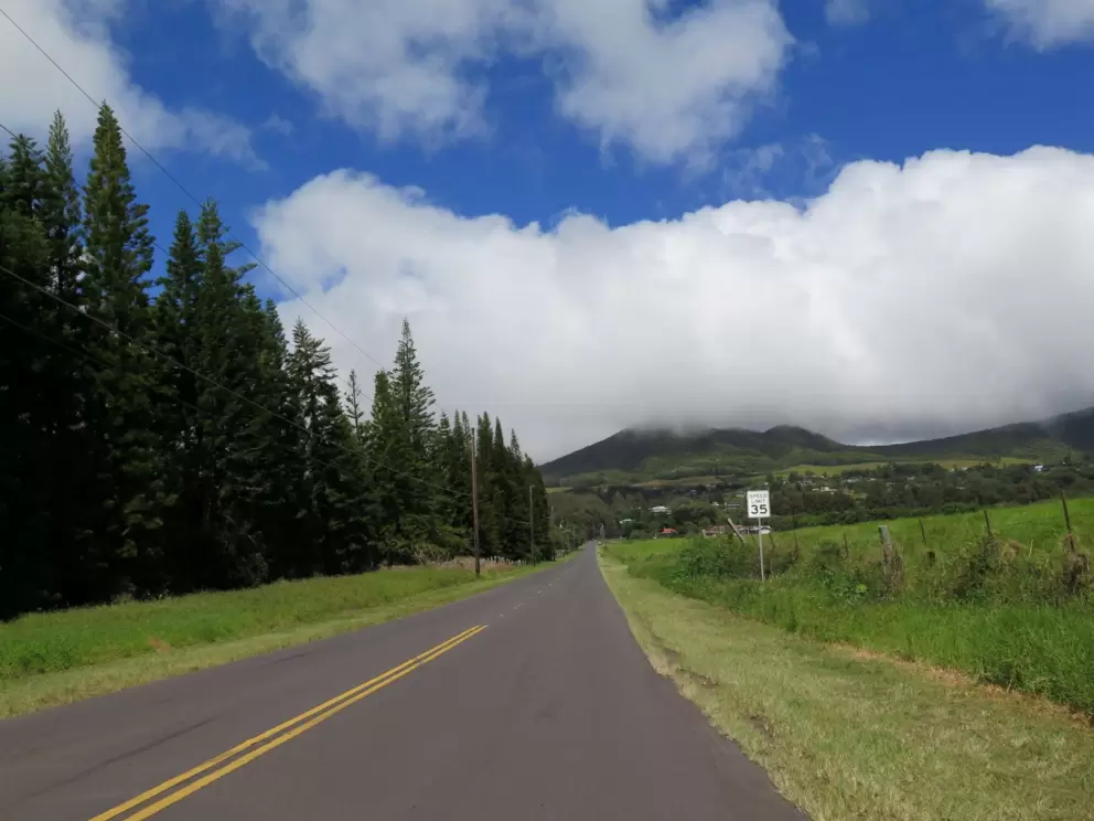 Views from the road.