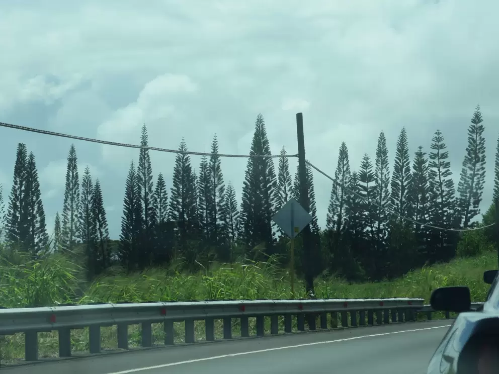 Driving choices: roads to cross the island